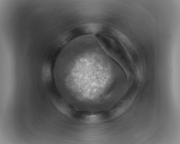 X0000111350312200907310957