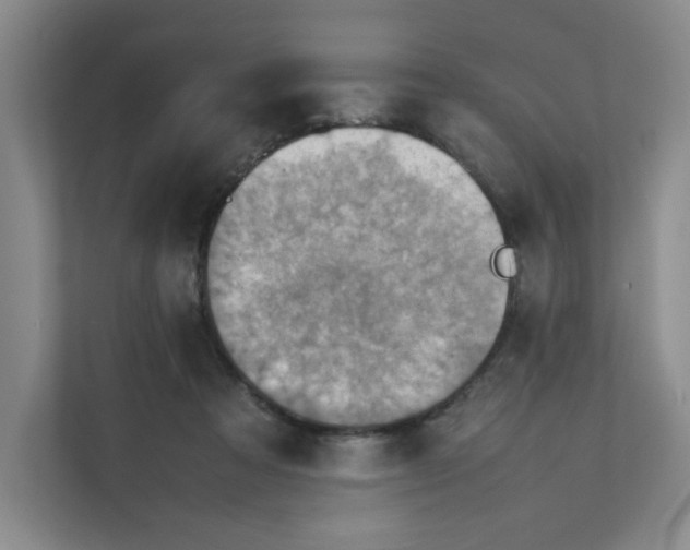 X0000111350313200907310957