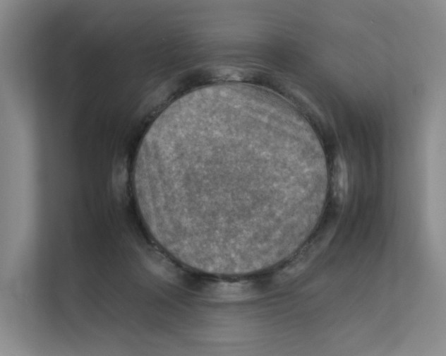 X0000111350314200907310957