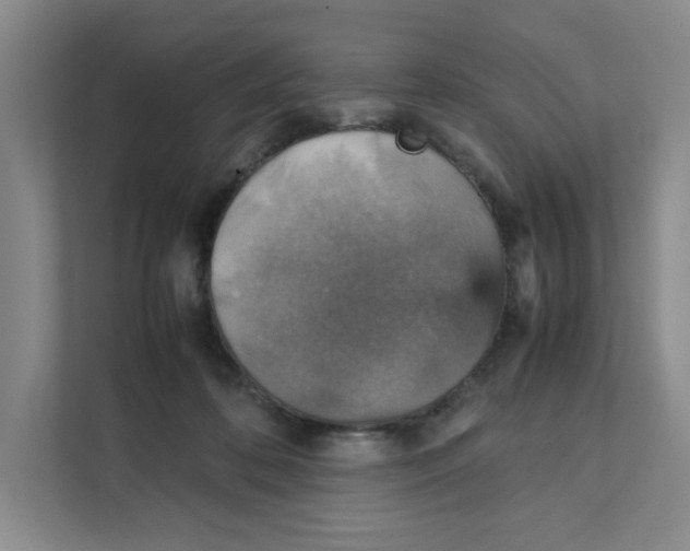 X0000111350316200907310957