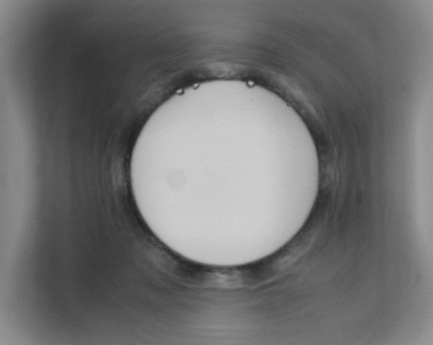 X0000111350317200907310957