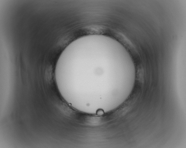 X0000111350318200907310957