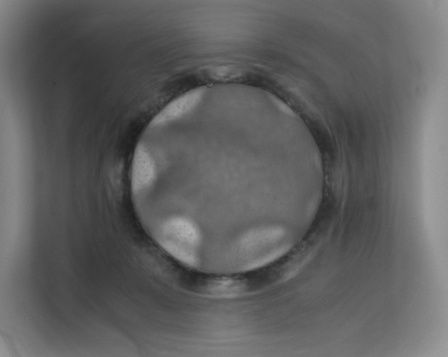 X0000111350319200907310957