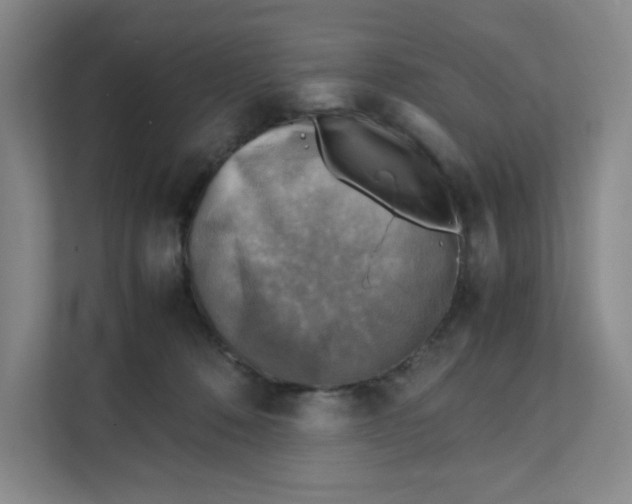 X0000111350320200907310957