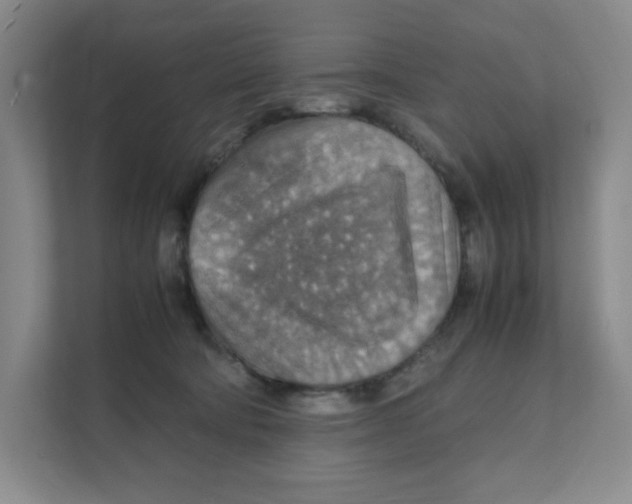 X0000111350322200907310957