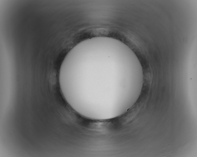 X0000111350323200907310957