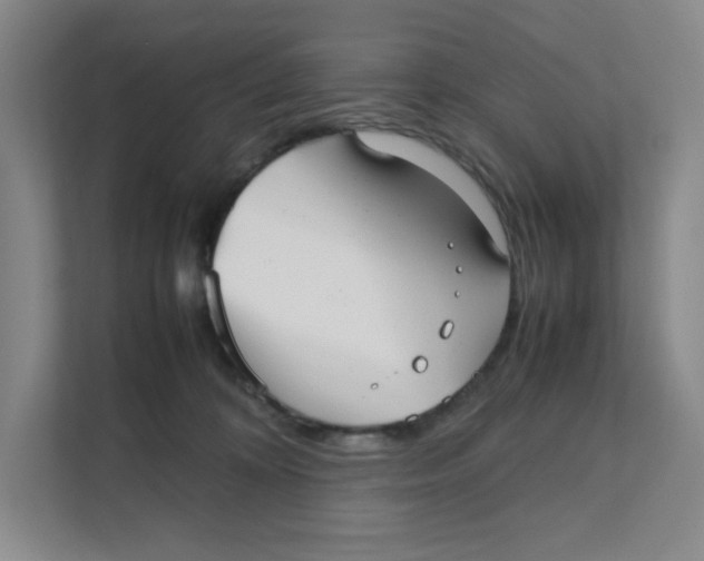 X0000111350324200907310957