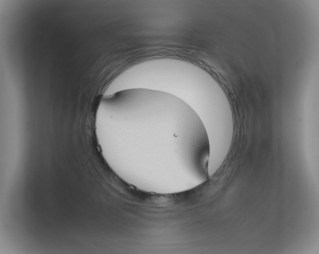 X0000111350325200907310957