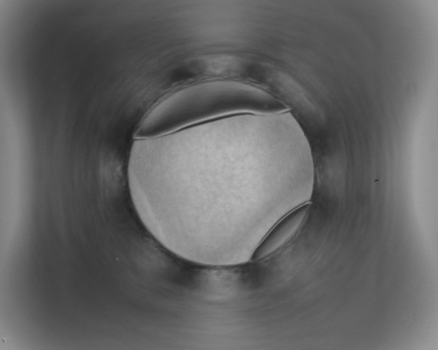 X0000111350327200907310957