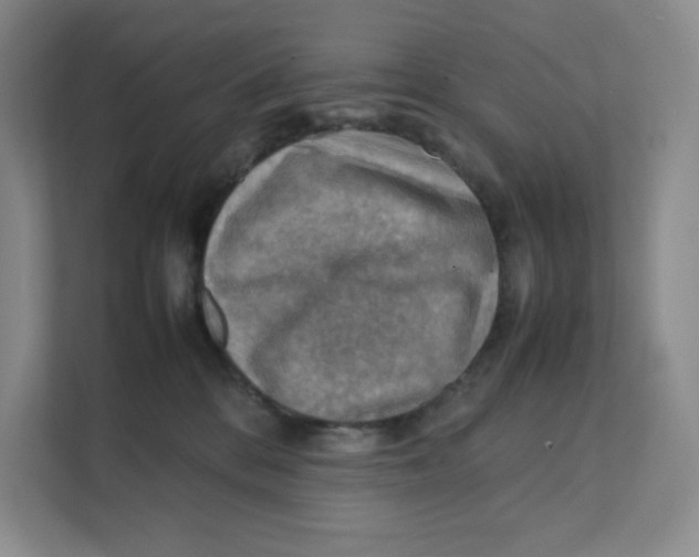 X0000111350328200907310957