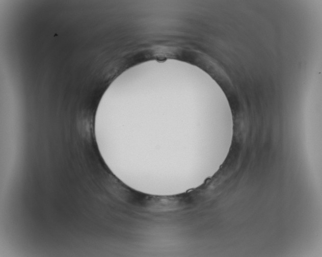 X0000111350329200907310957