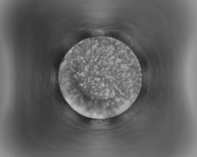 X0000111350331200907310957