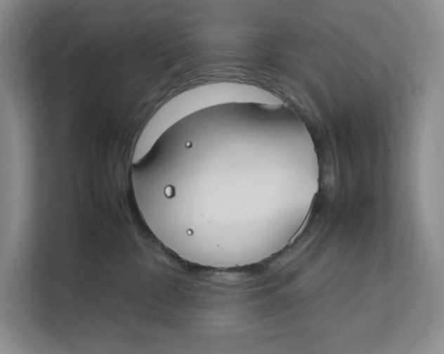 X0000111350332200907310957