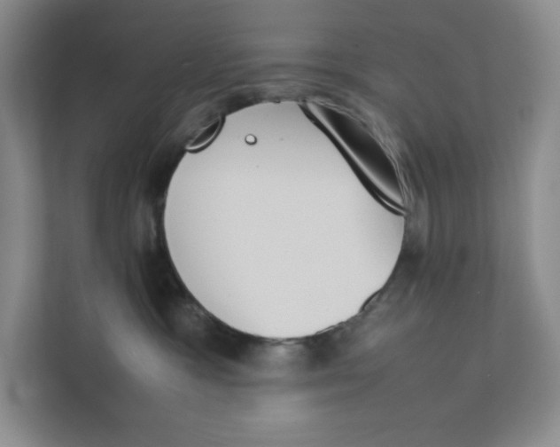 X0000111350333200907310957