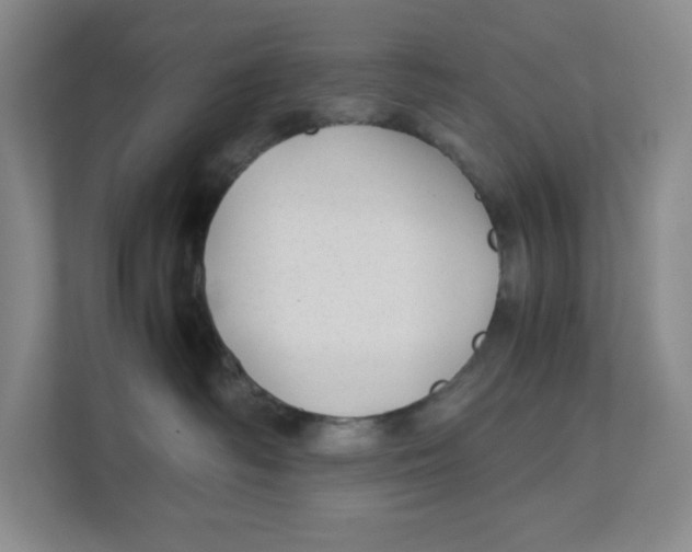 X0000111350334200907310957