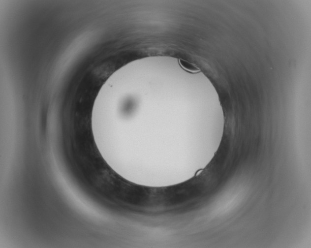 X0000111350335200907310957