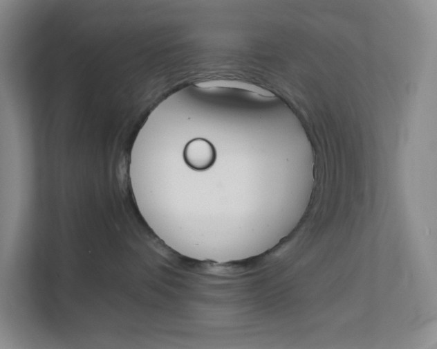 X0000111350336200907310957