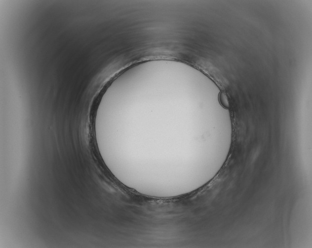 X0000111350338200907310956