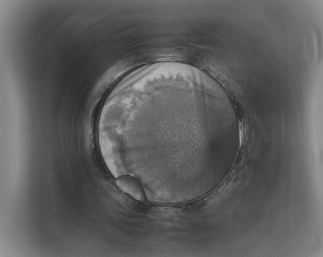 X0000111350339200907310956