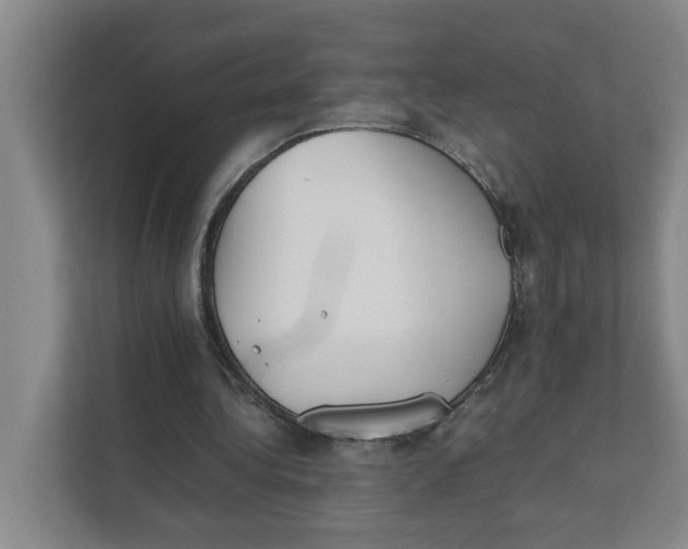 X0000111350340200907310956