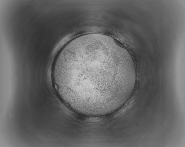 X0000111350341200907310956