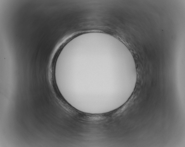 X0000111350342200907310956