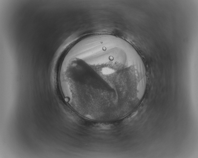 X0000111350343200907310956