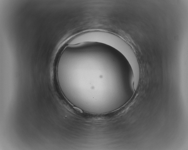 X0000111350344200907310956