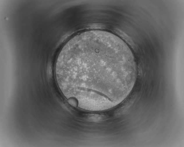 X0000111350347200907310956