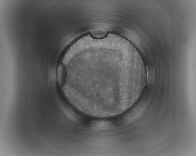 X0000111350348200907310956