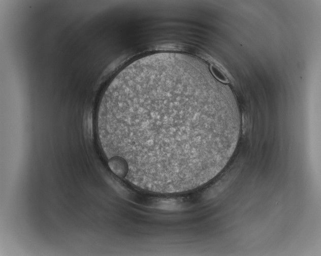 X0000111350349200907310956