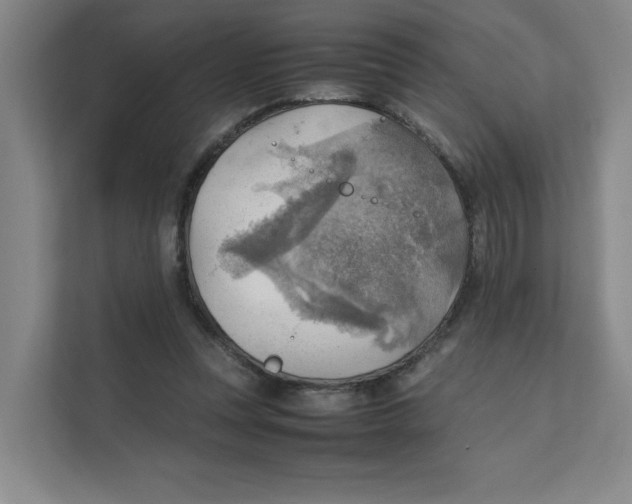 X0000111350351200907310956