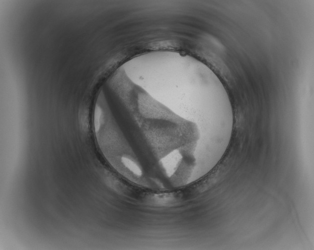 X0000111350353200907310956