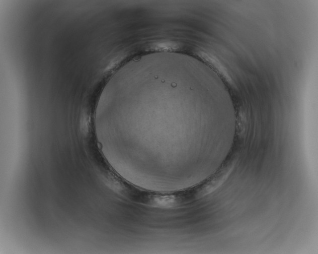 X0000111350355200907310956