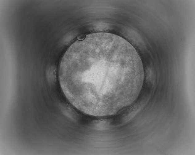 X0000111350356200907310957