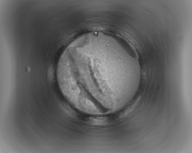 X0000111350359200907310957