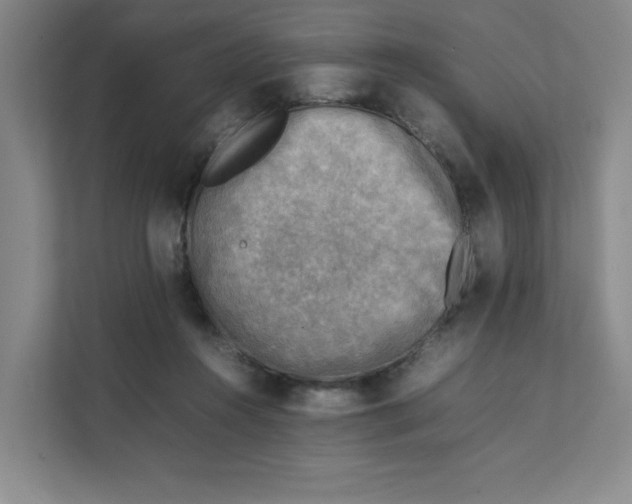 X0000111350360200907310957