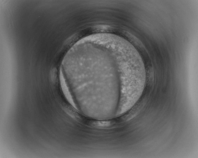 X0000111350361200907310957