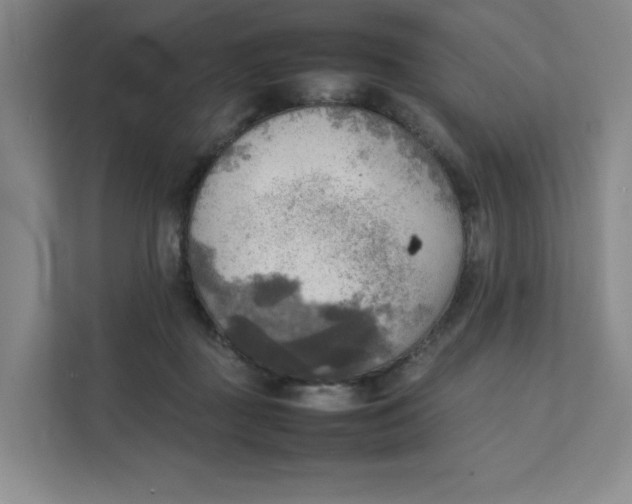 X0000111350363200907310957