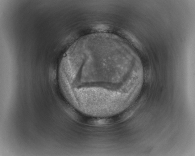 X0000111350365200907310957