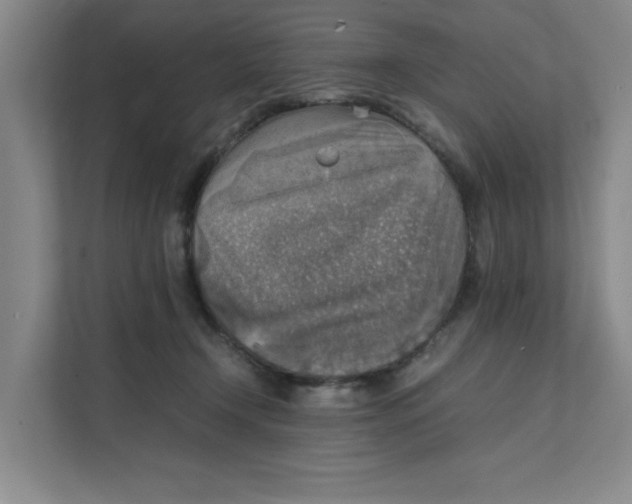 X0000111350366200907310957