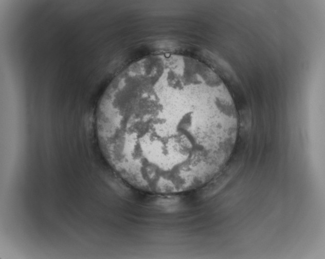 X0000111350369200907310957