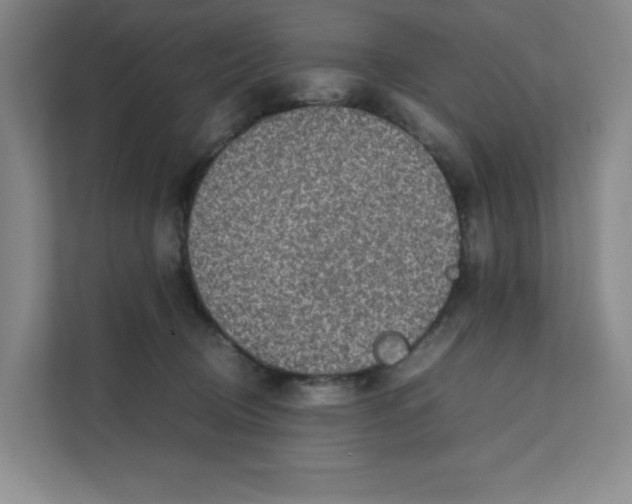 X0000111350370200907310957