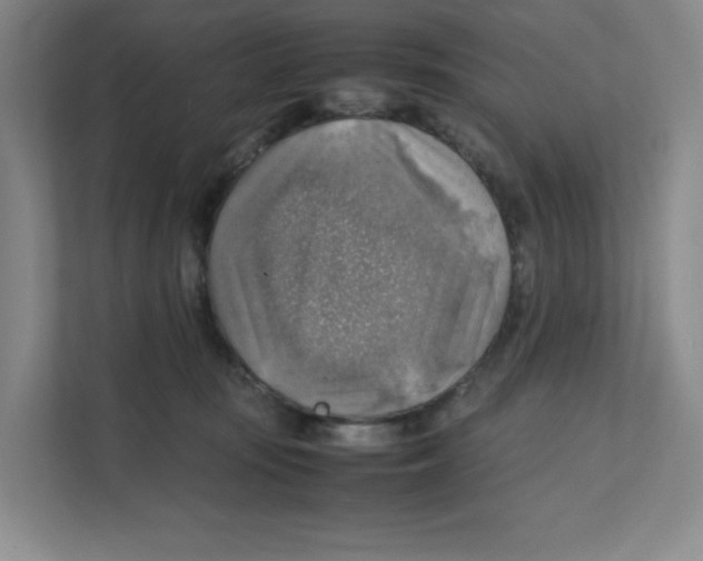 X0000111350371200907310957