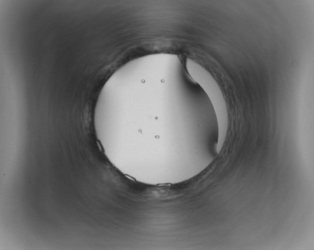 X0000111350372200907310957