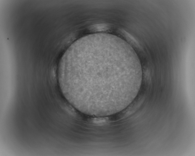 X0000111350373200907310957