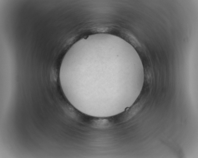 X0000111350374200907310957