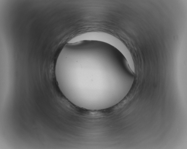 X0000111350376200907310957