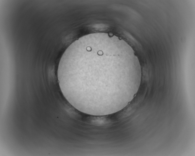 X0000111350377200907310957