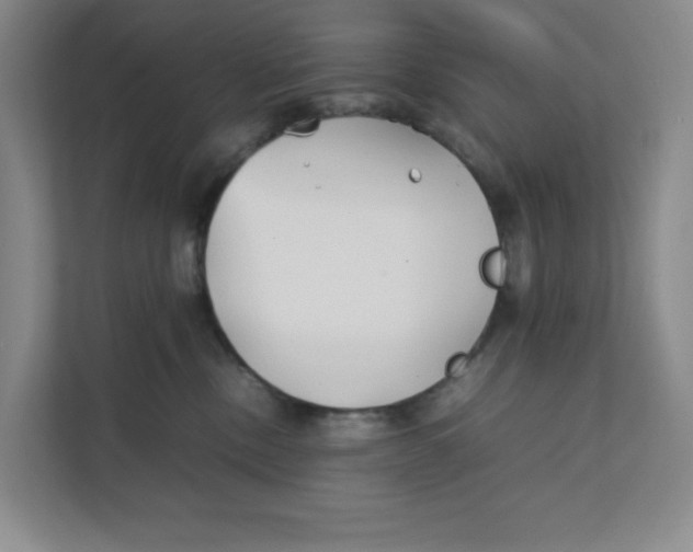 X0000111350378200907310957